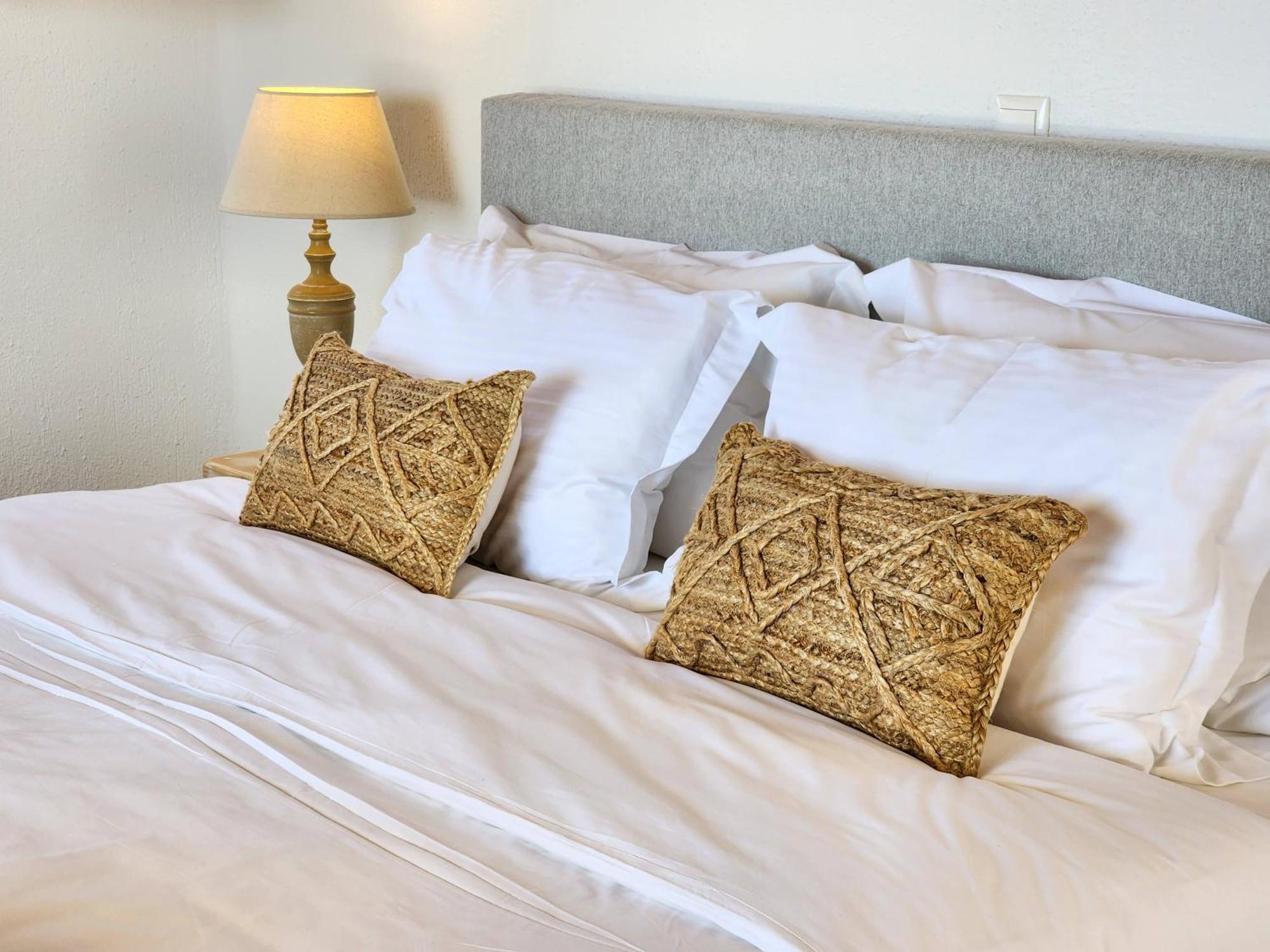 Anthemion Paros - Villas & Suites Agia Irini  Extérieur photo